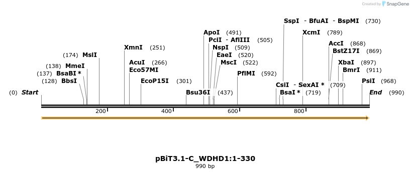 411830_map