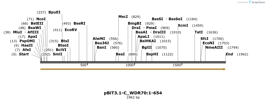 411846_map