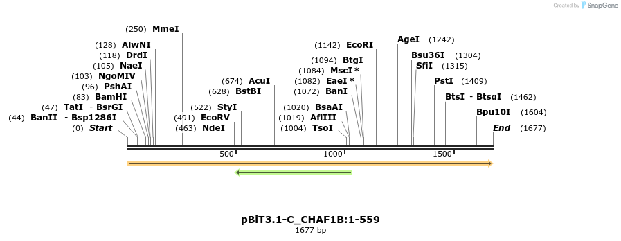 411848_map