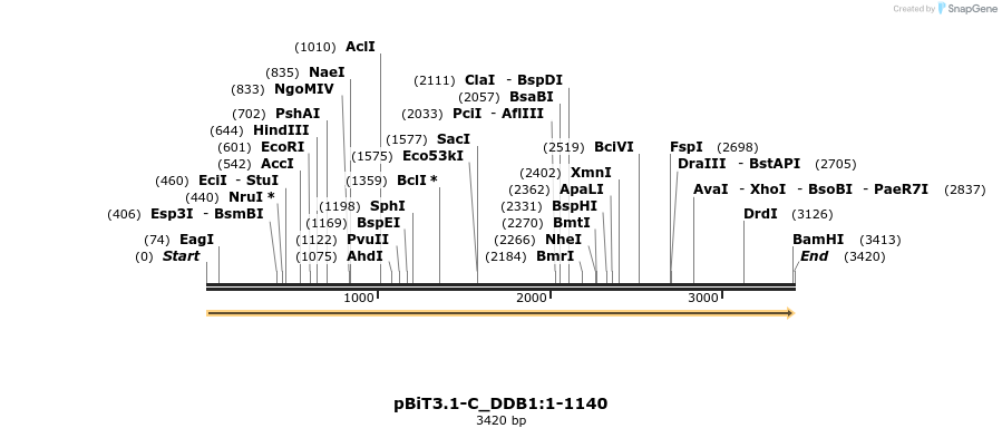 411852_map