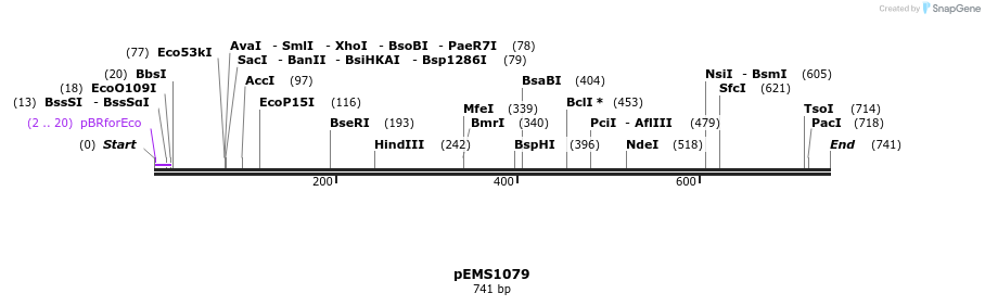 41186_map