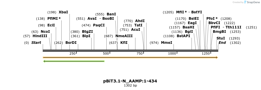 411862_map