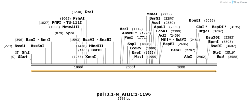 411864_map