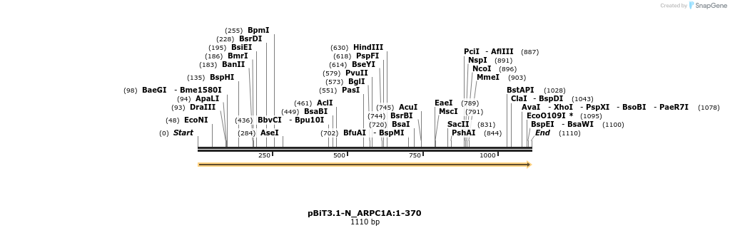 411866_map