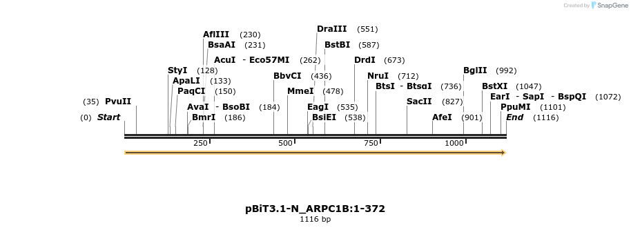 411868_map