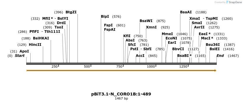 411870_map