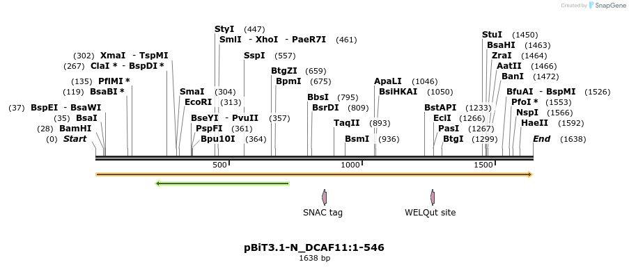 411872_map