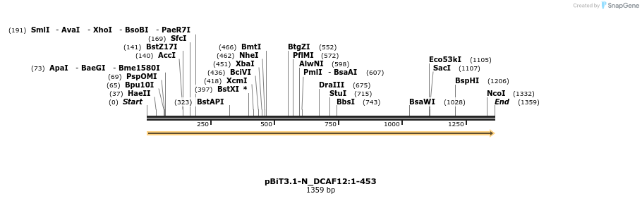 411874_map