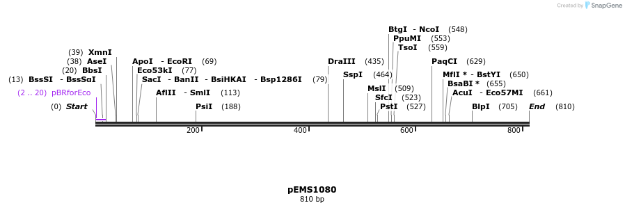 41188_map