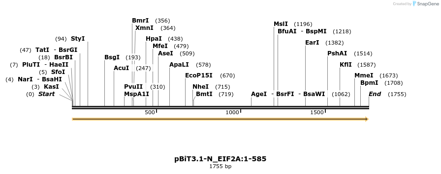 411886_map