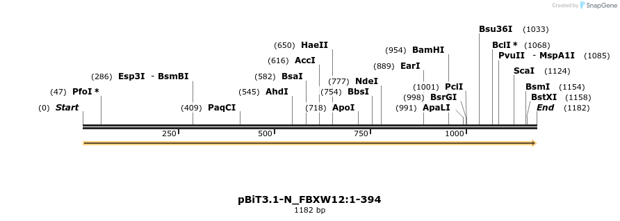 411894_map