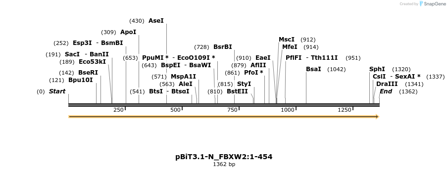 411896_map