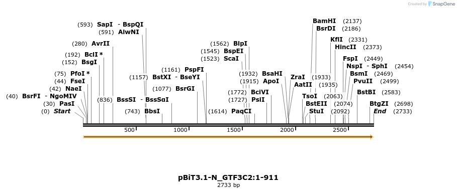 411898_map