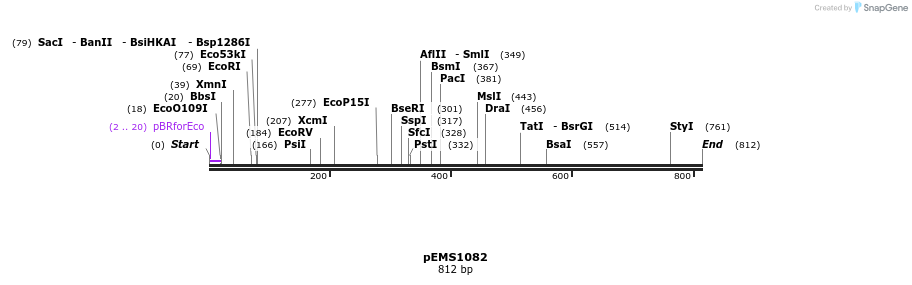 41190_map