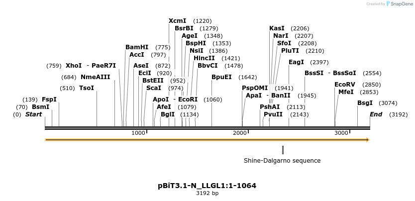 411906_map