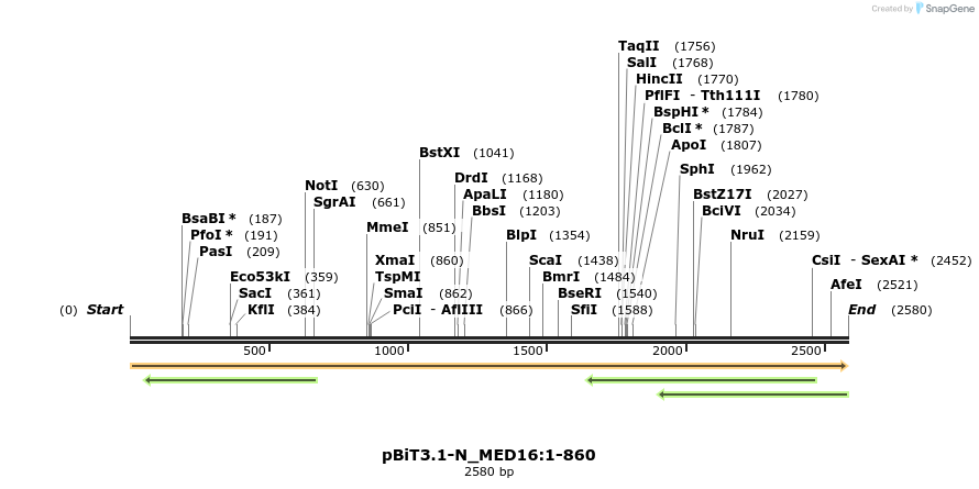 411908_map