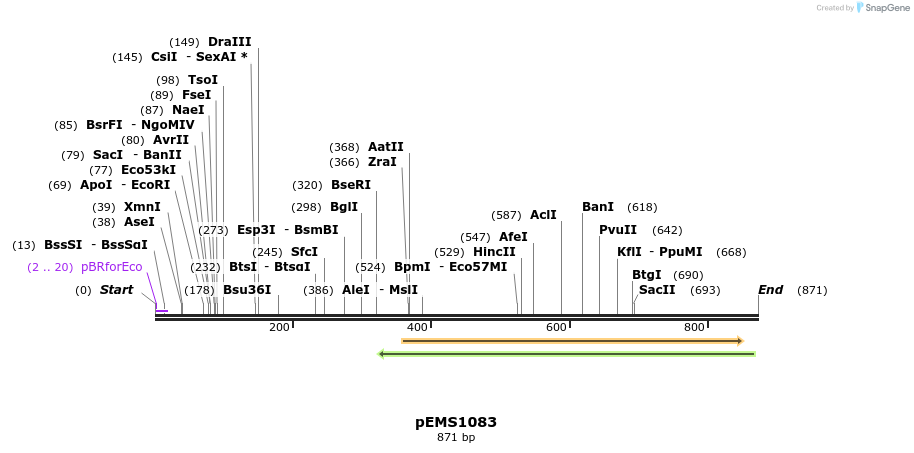 41191_map