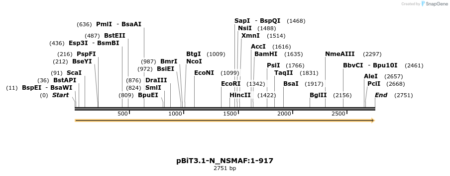 411914_map