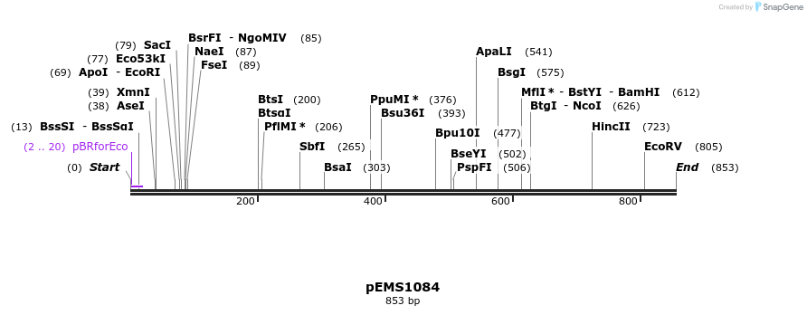 41192_map
