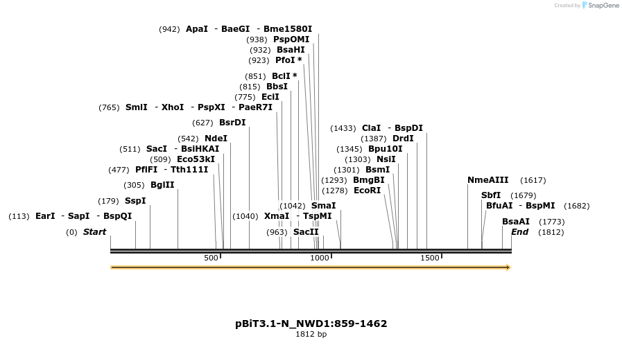 411920_map