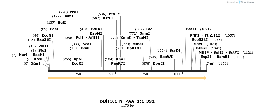 411922_map