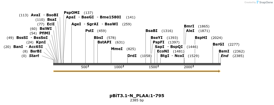 411928_map