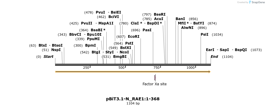 411932_map
