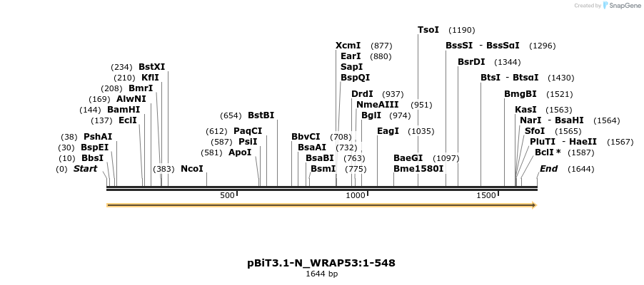 411942_map