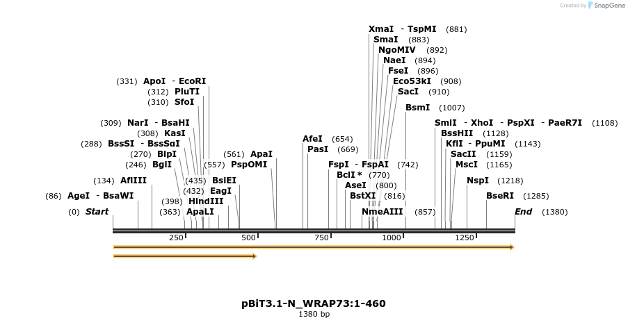 411944_map