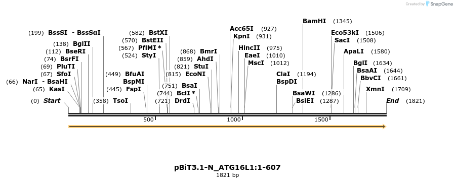 411946_map