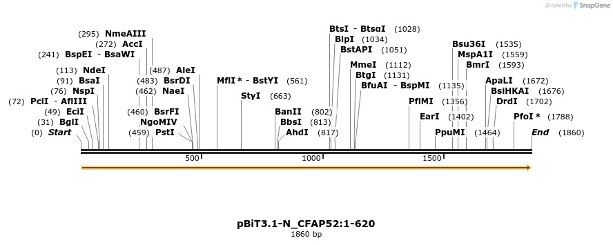 411948_map