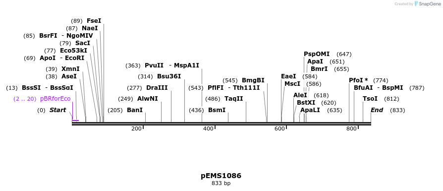 41195_map
