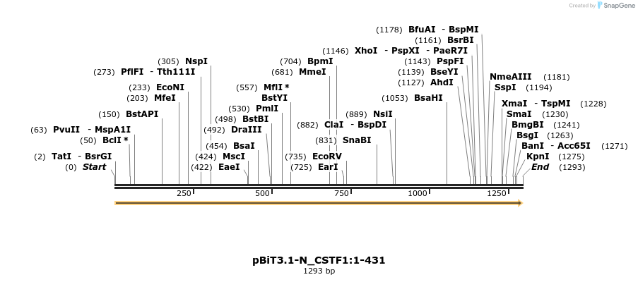 411950_map