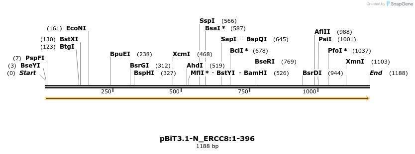 411962_map