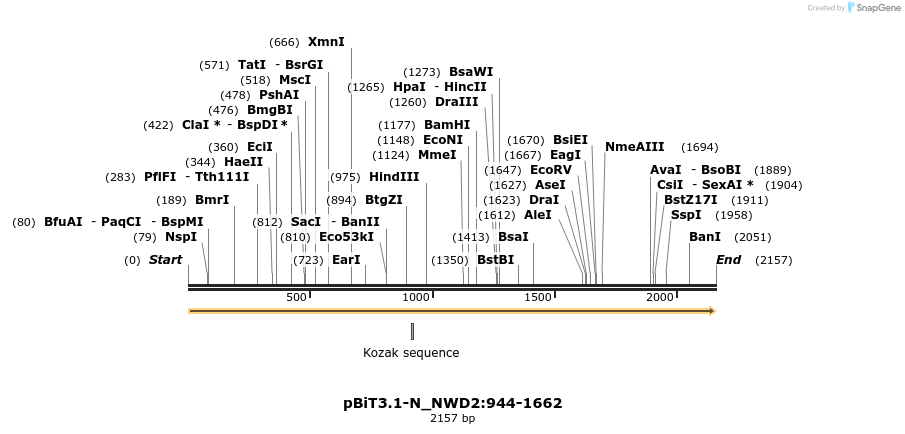 411968_map
