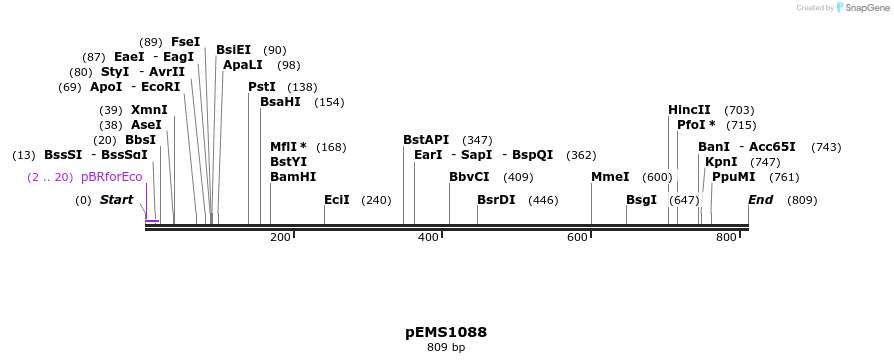41197_map