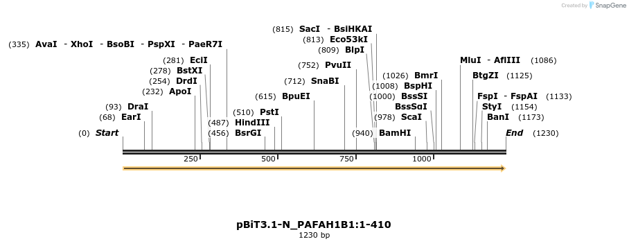 411970_map