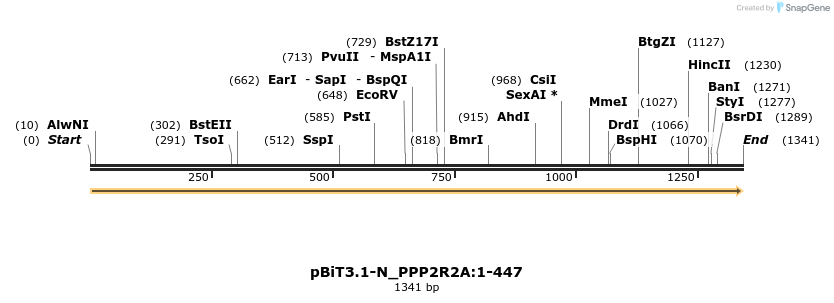 411972_map