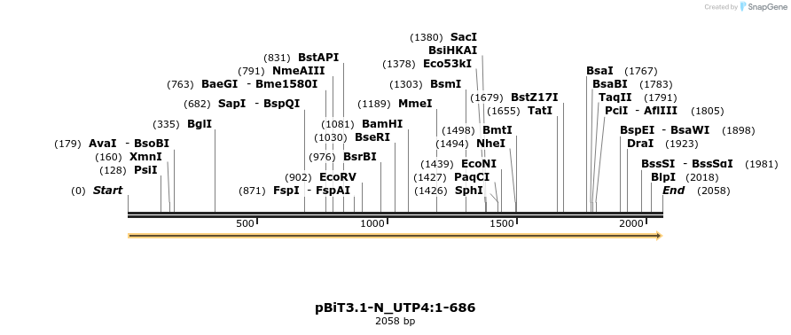 411976_map