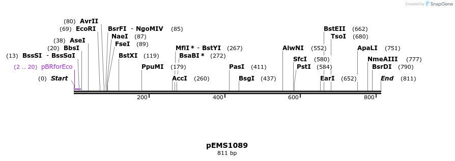 41198_map