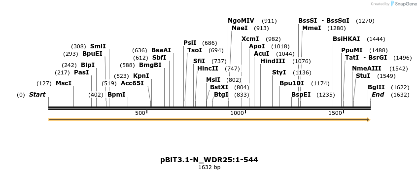 411980_map