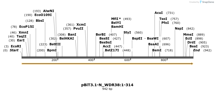 411988_map