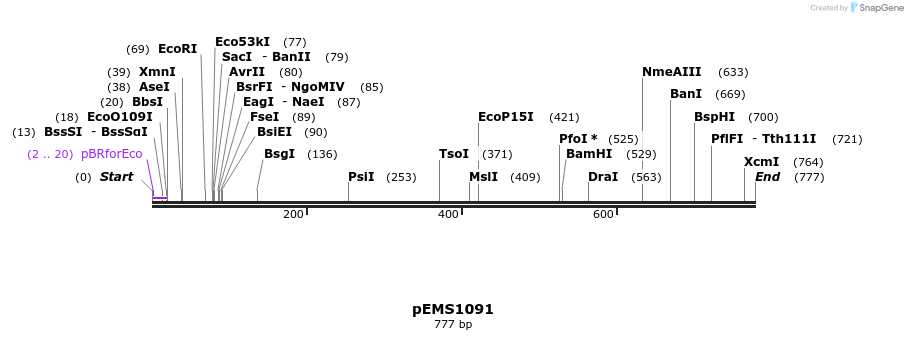 41199_map