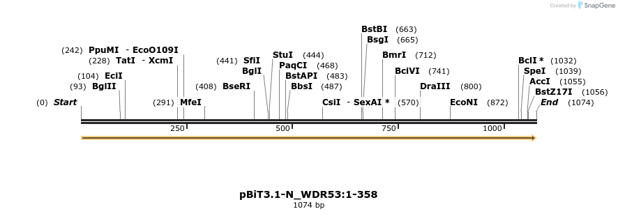 411990_map