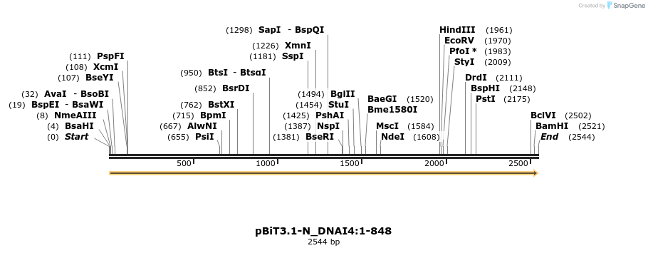 411994_map