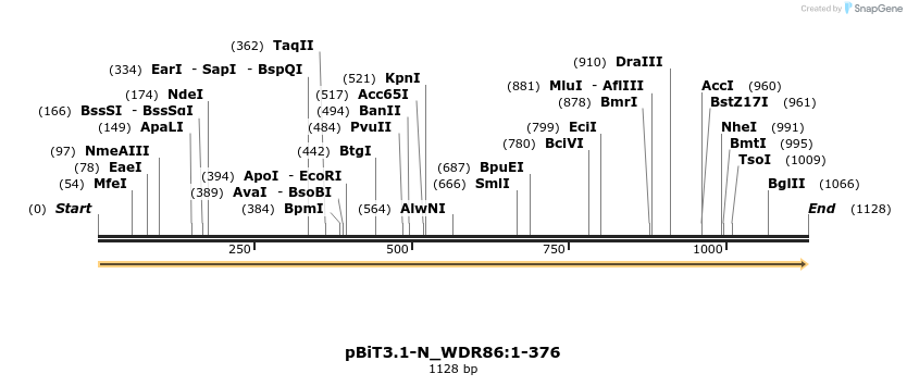 411998_map