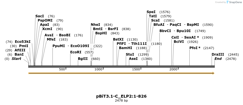 412004_map