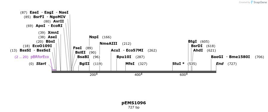 41202_map