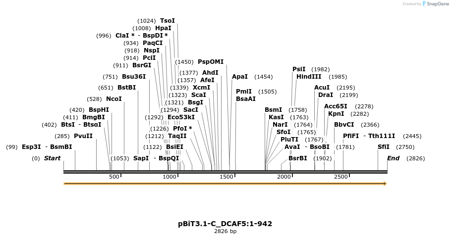 412026_map