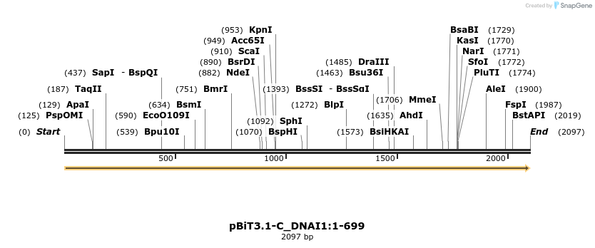 412028_map
